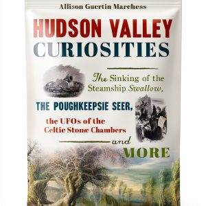 The History Press Celtic History Kindle eBook 163‑Page Guide-0